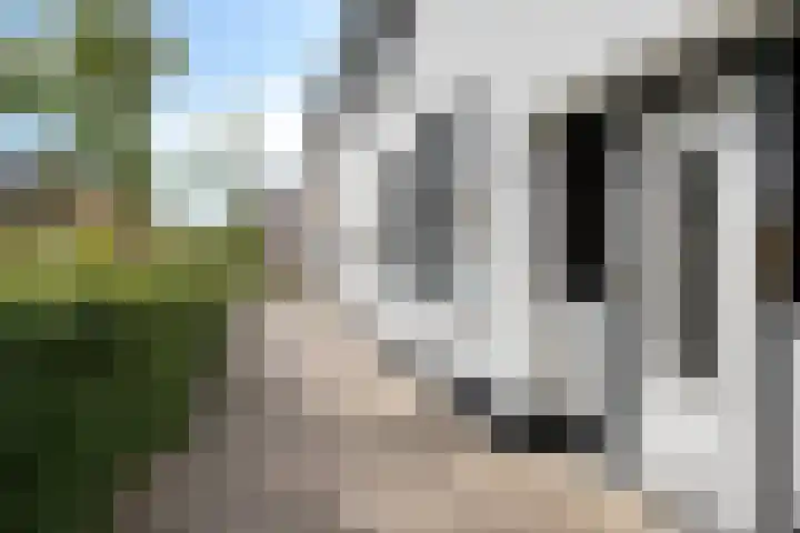 Kreeftstraat 11 Eindhoven thumbnail 4