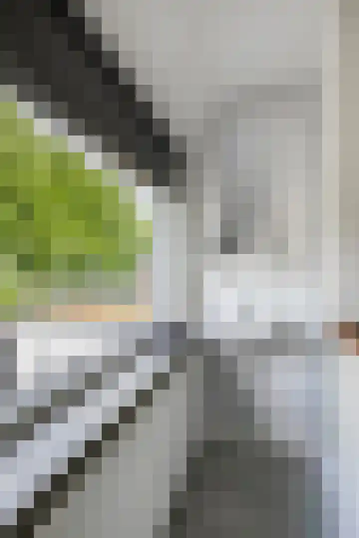 Kreeftstraat 11 Eindhoven thumbnail 43