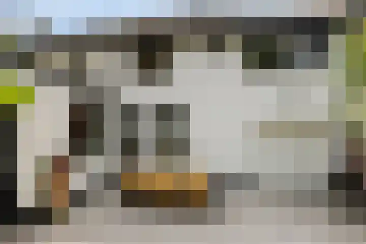 Kreeftstraat 11 Eindhoven thumbnail 45