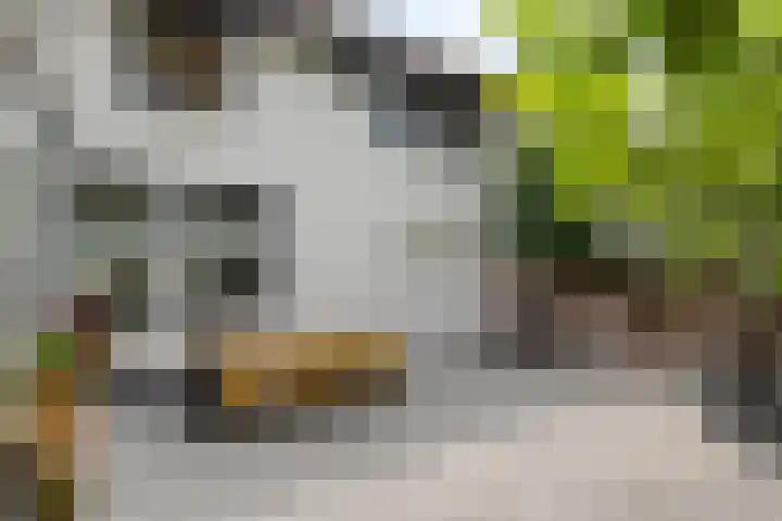 Kreeftstraat 11 Eindhoven thumbnail 46