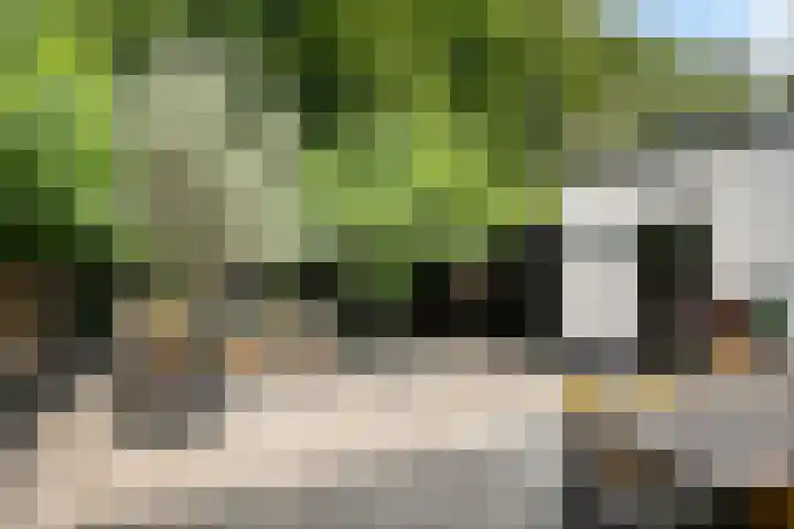 Kreeftstraat 11 Eindhoven thumbnail 47