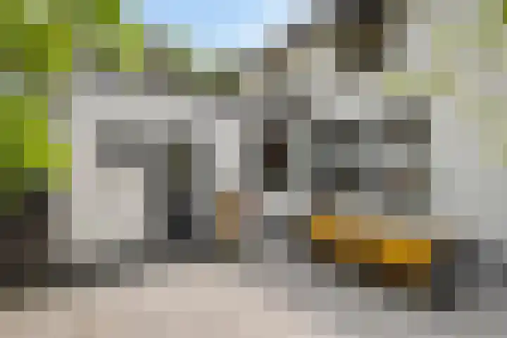 Kreeftstraat 11 Eindhoven thumbnail 48