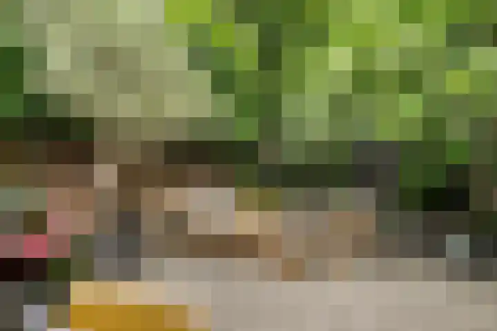 Kreeftstraat 11 Eindhoven thumbnail 49