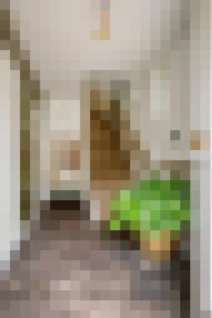 Kreeftstraat 11 Eindhoven thumbnail 5