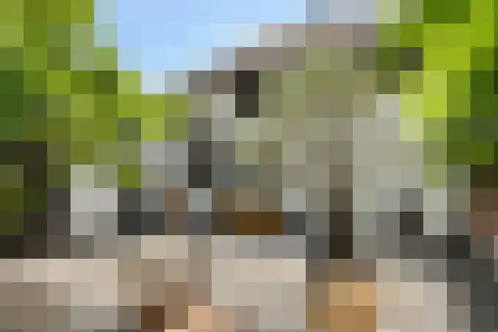 Kreeftstraat 11 Eindhoven thumbnail 51