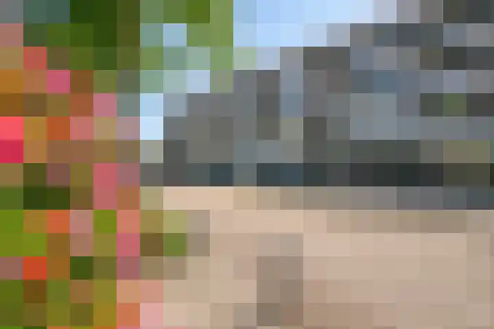 Kreeftstraat 11 Eindhoven thumbnail 54