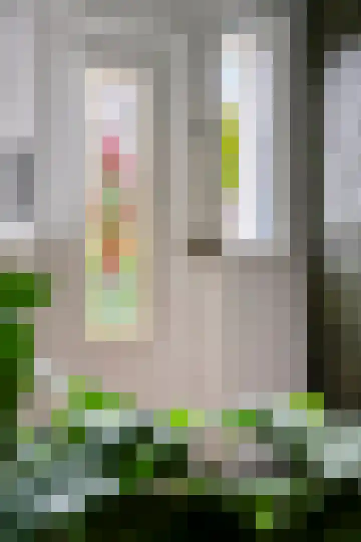Kreeftstraat 11 Eindhoven thumbnail 6