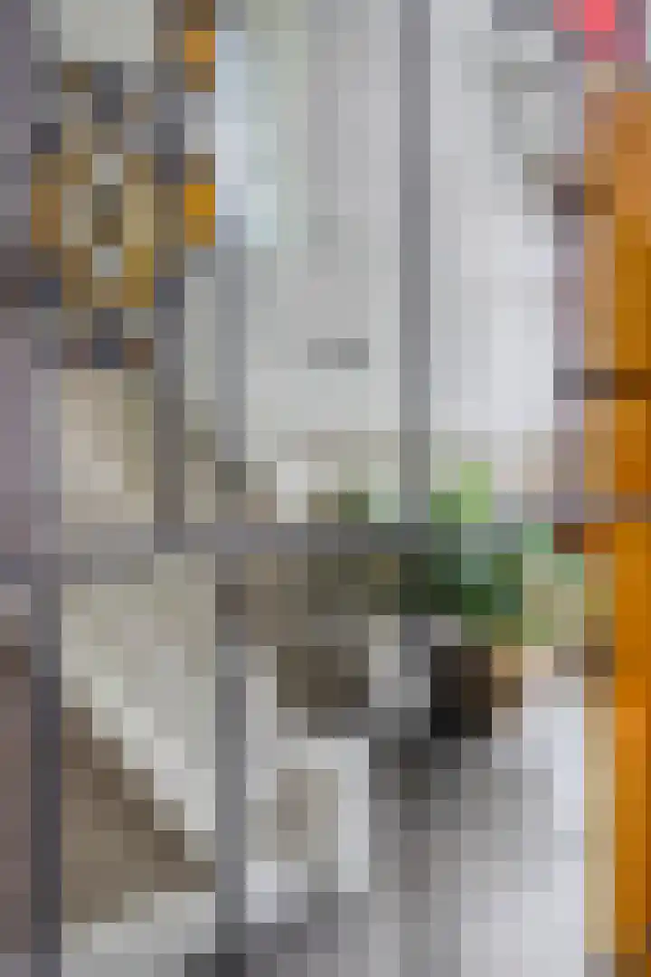 Kreeftstraat 11 Eindhoven thumbnail 7