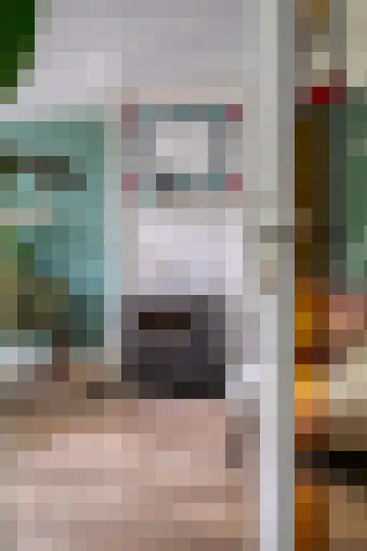 Kreeftstraat 11 Eindhoven thumbnail 8