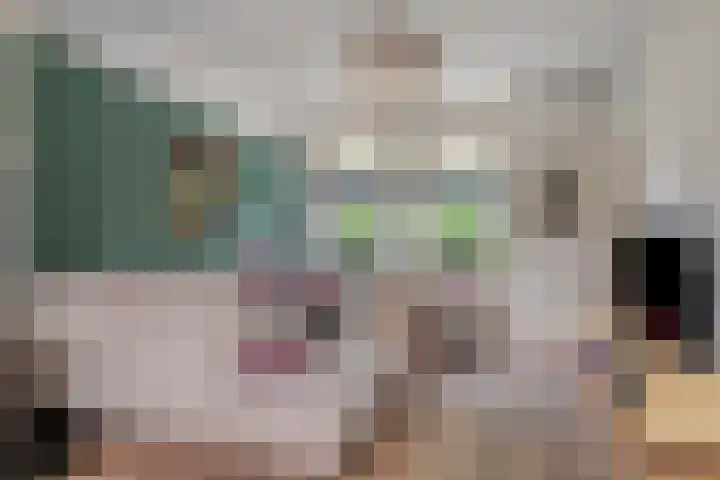 Kreeftstraat 11 Eindhoven thumbnail 9