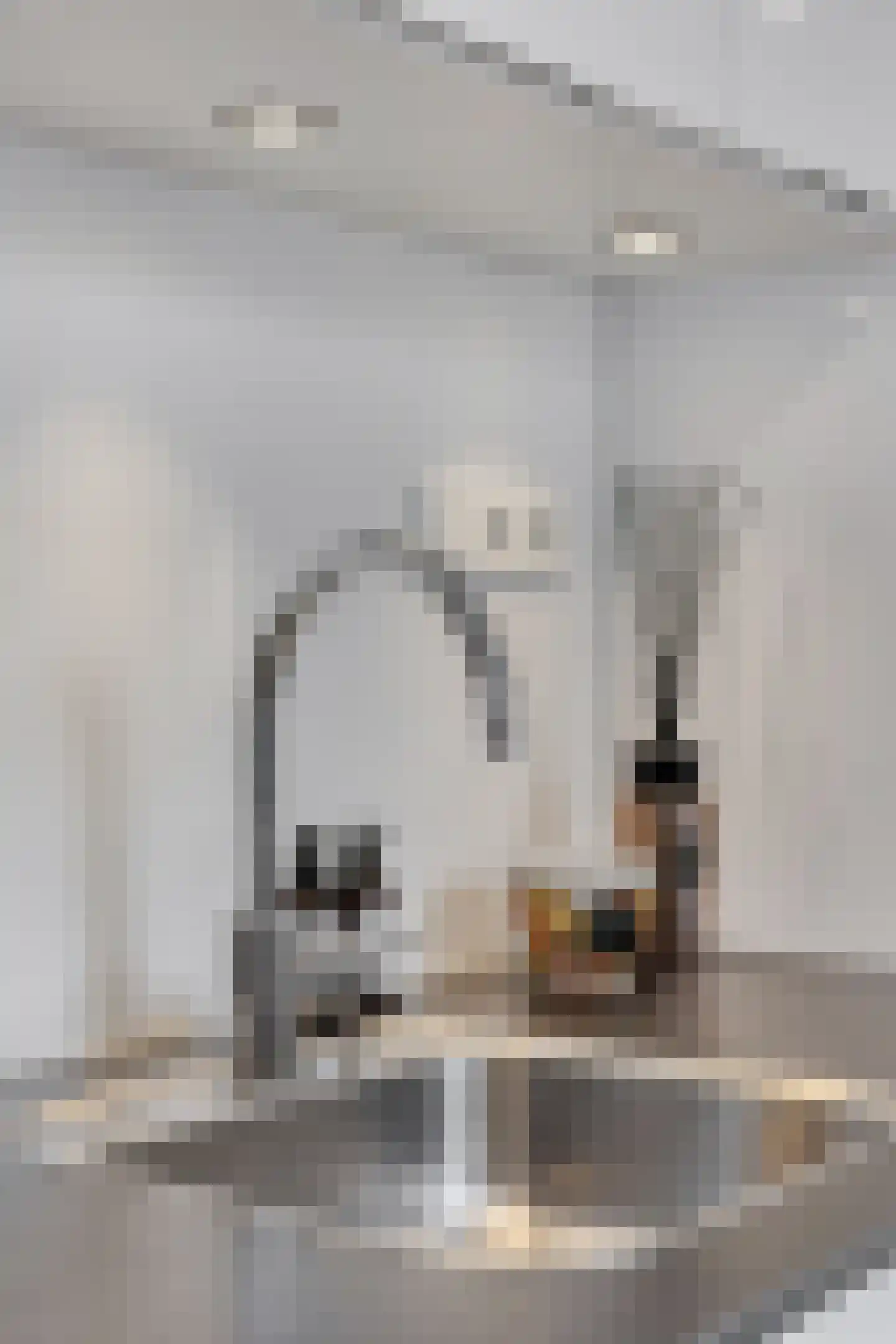 Kreeftstraat 31 Eindhoven thumbnail 21