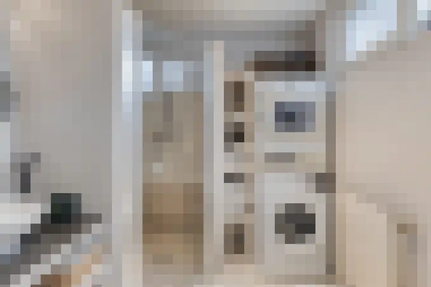 Kreeftstraat 31 Eindhoven thumbnail 22