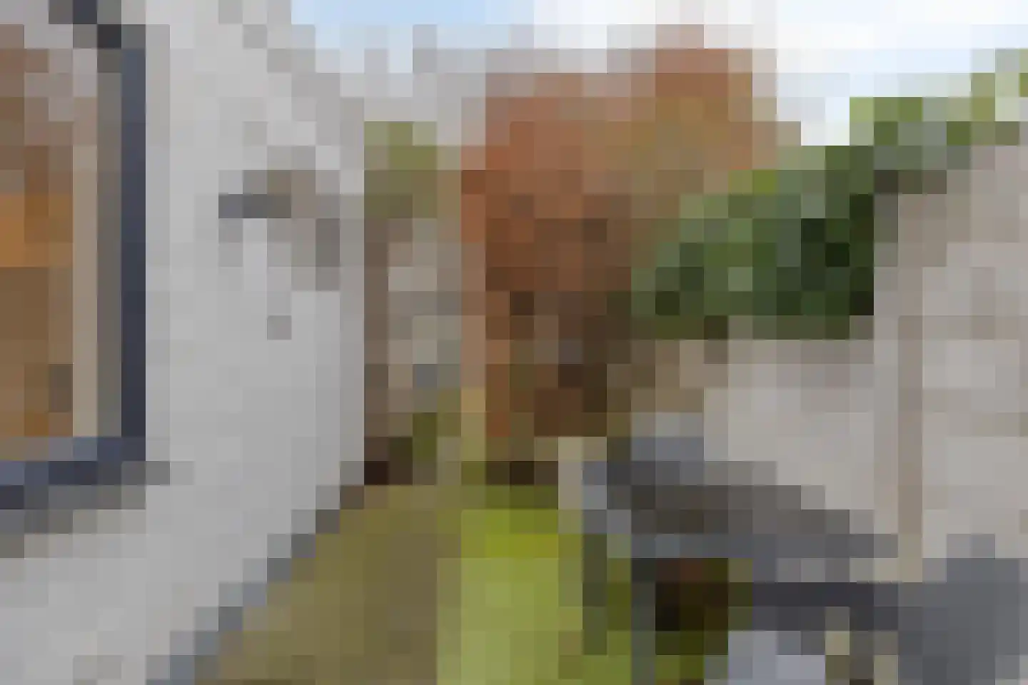 Kreeftstraat 31 Eindhoven thumbnail 41