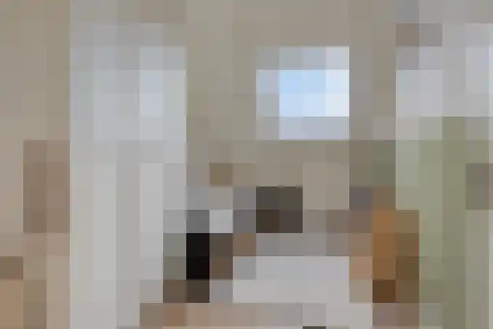 Kreeftstraat 35 Zierikzee thumbnail 22