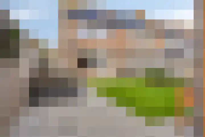 Kreeftstraat 35 Zierikzee thumbnail 28