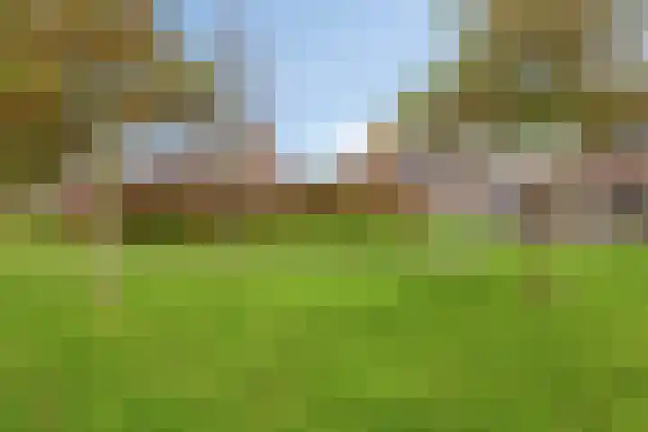 Kreeftstraat 35 Zierikzee thumbnail 30