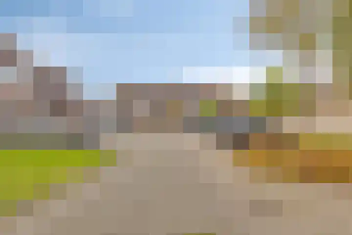 Kreeftstraat 35 Zierikzee thumbnail 31