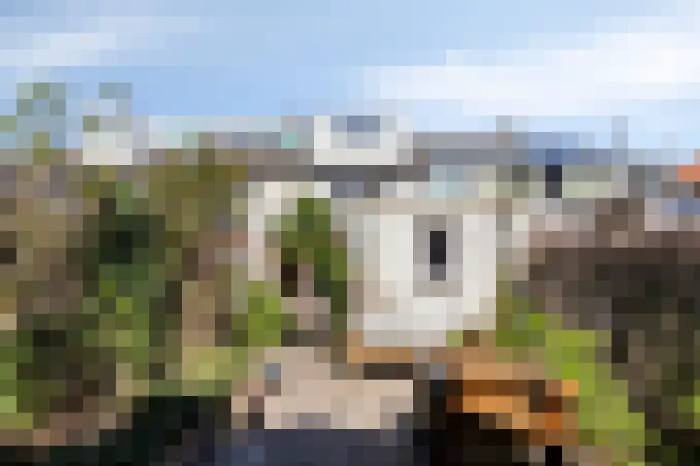Kreeftstraat 42 Eindhoven thumbnail 32