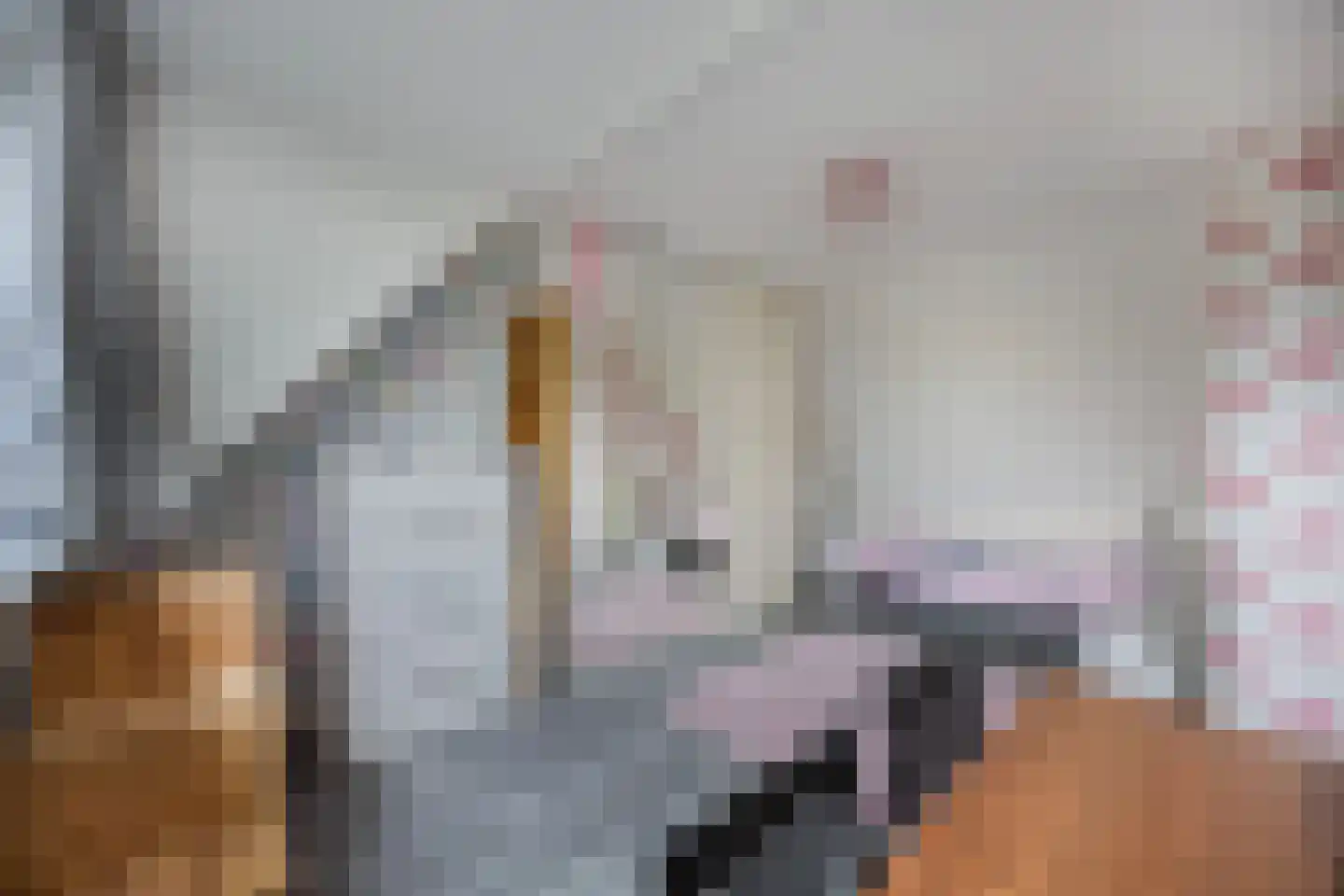 Kreeftstraat 49 Almere thumbnail 32