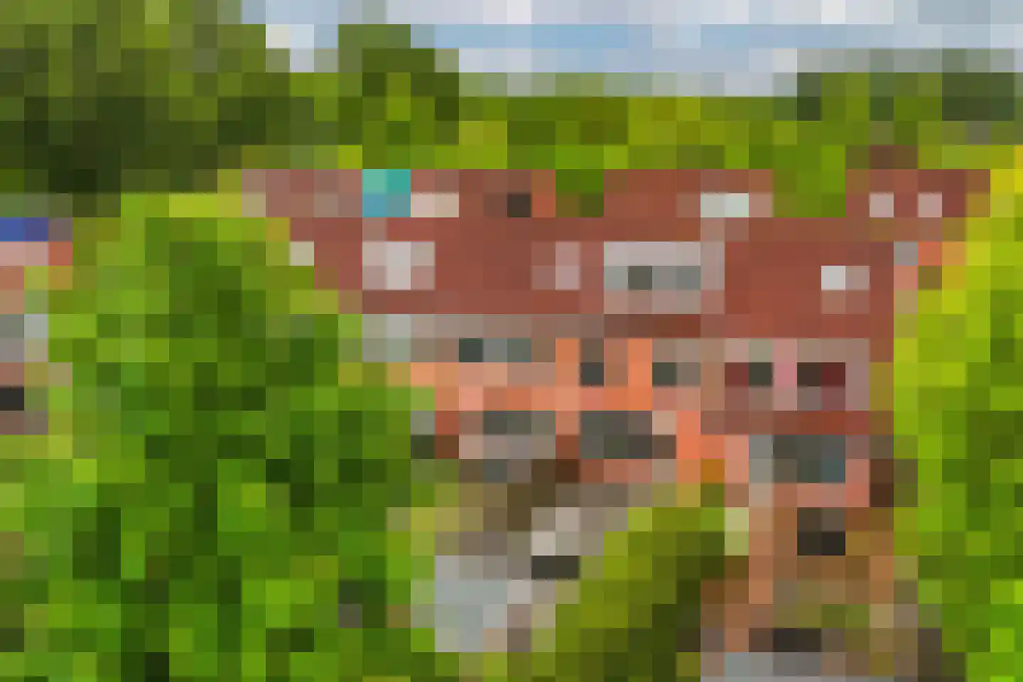 Kreeftstraat 49 Almere thumbnail 44