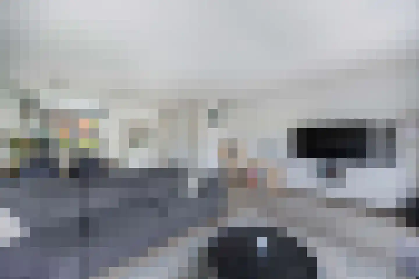 Kreeftstraat 49 Almere thumbnail 8