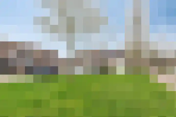Kreeftstraat 55 Zierikzee thumbnail 34