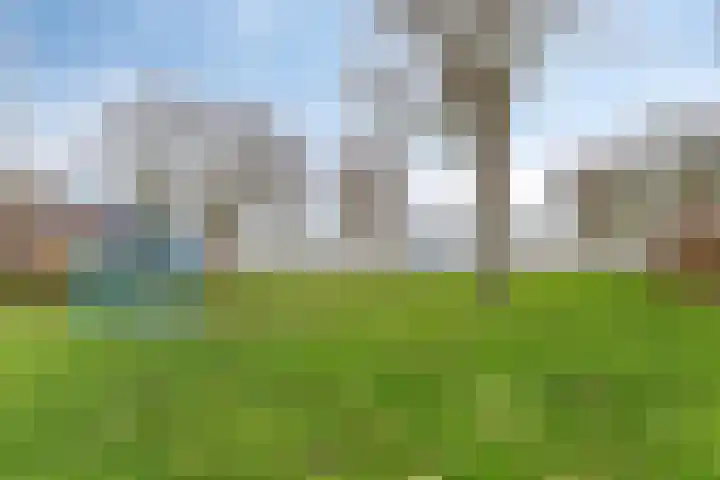 Kreeftstraat 55 Zierikzee thumbnail 35