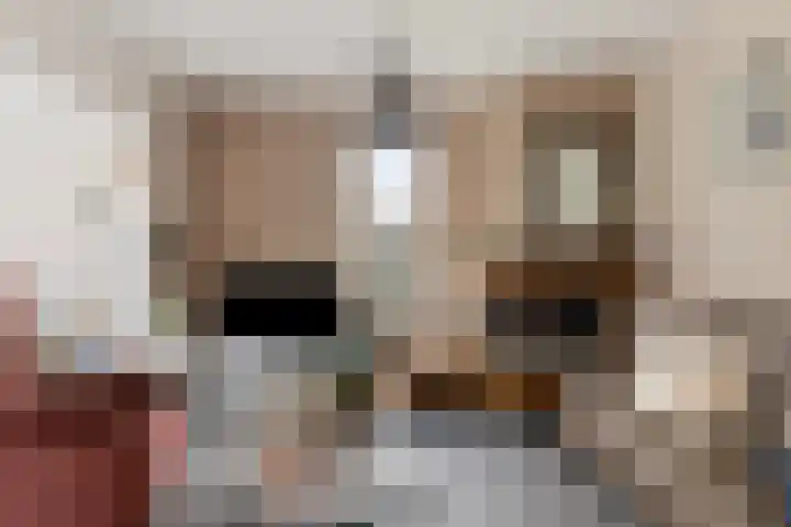 Kreeftstraat 55 Zierikzee thumbnail 4