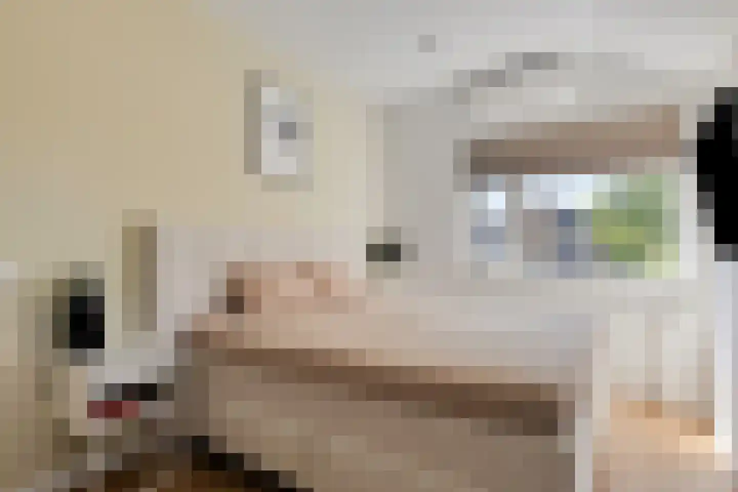 Kreeftstraat 66 Zierikzee thumbnail 22