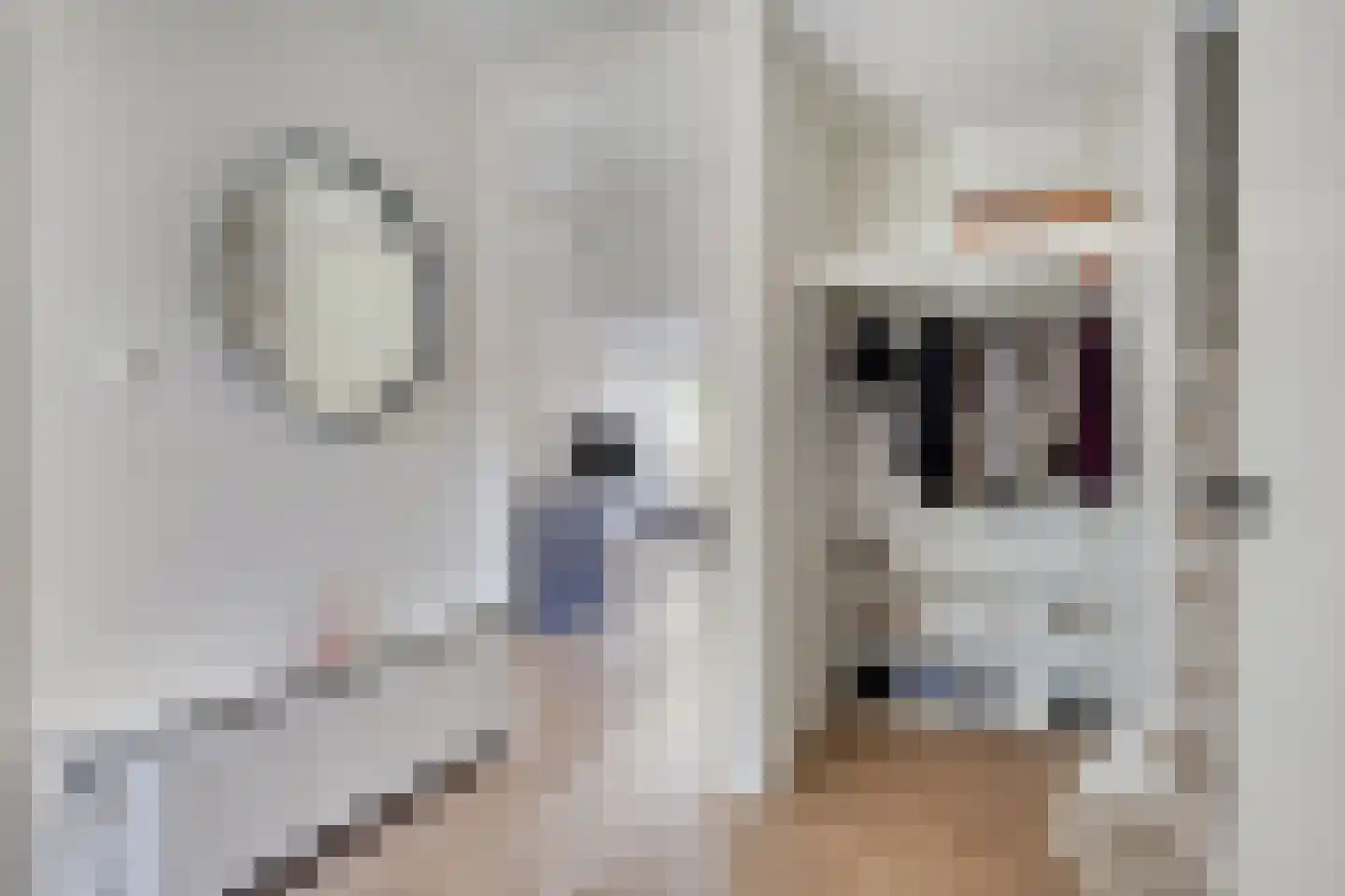 Kreeftstraat 66 Zierikzee thumbnail 8