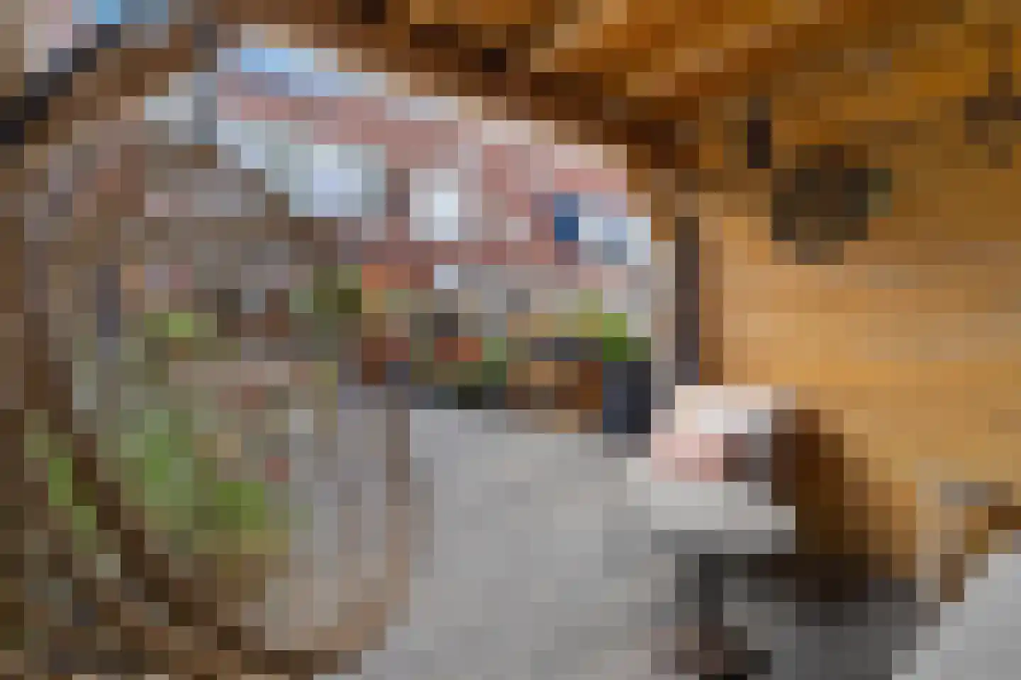 Kreeftstraat 7 Almere thumbnail 37