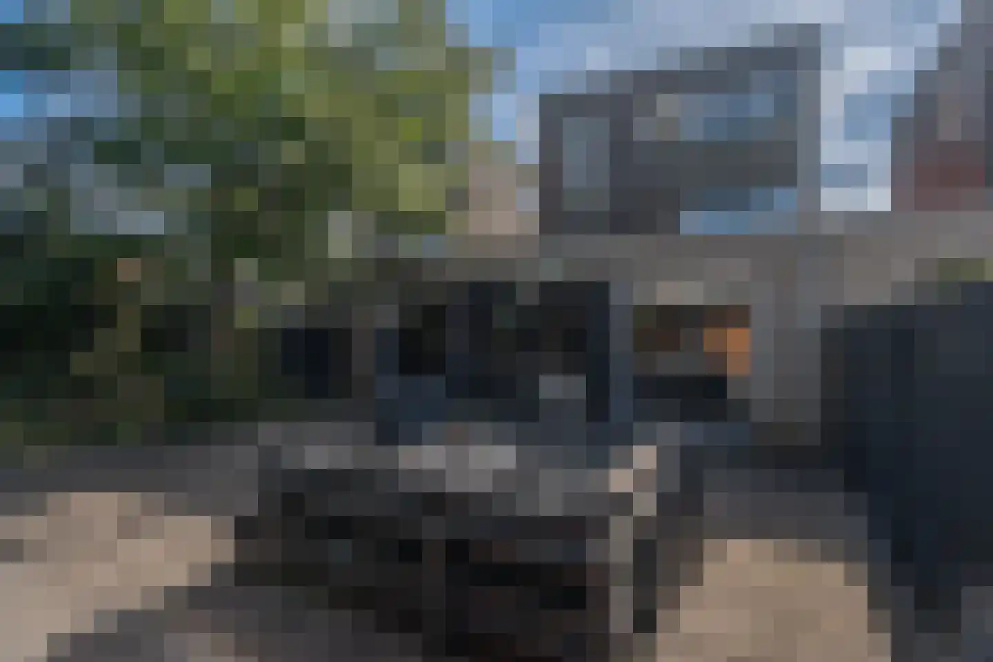 Kreeftwater 16 Barendrecht thumbnail 35