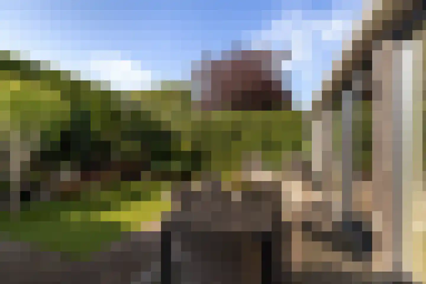 Kreeftwater 4 Barendrecht thumbnail 34
