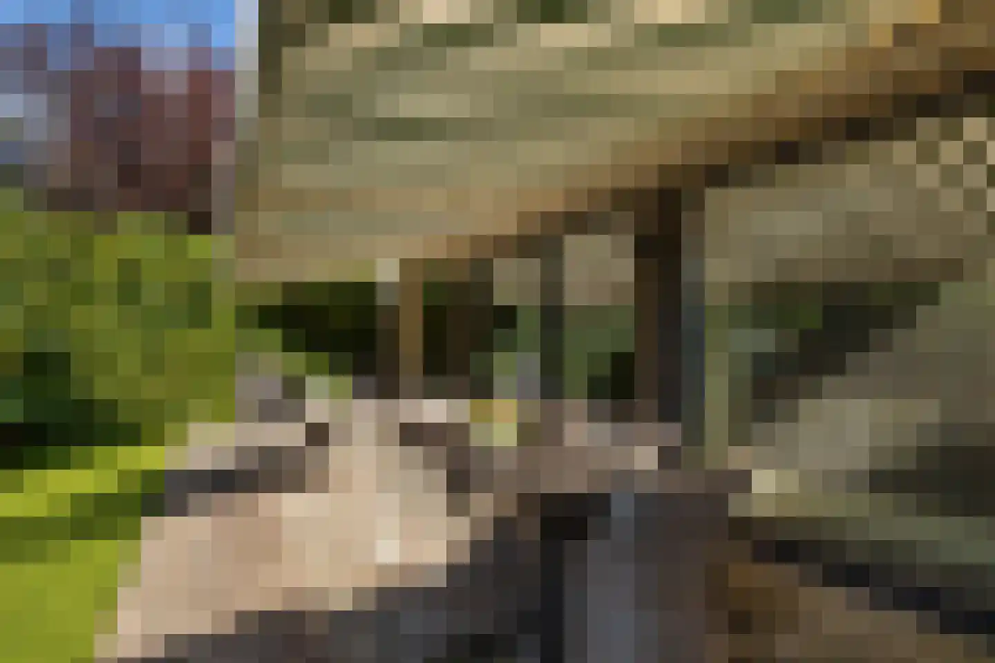 Kreeftwater 4 Barendrecht thumbnail 43