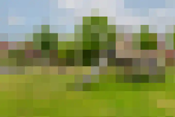 Kreeftwater 62 Barendrecht thumbnail 46