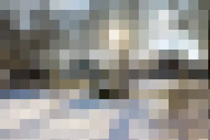 Kreek 10 Sneek thumbnail 23