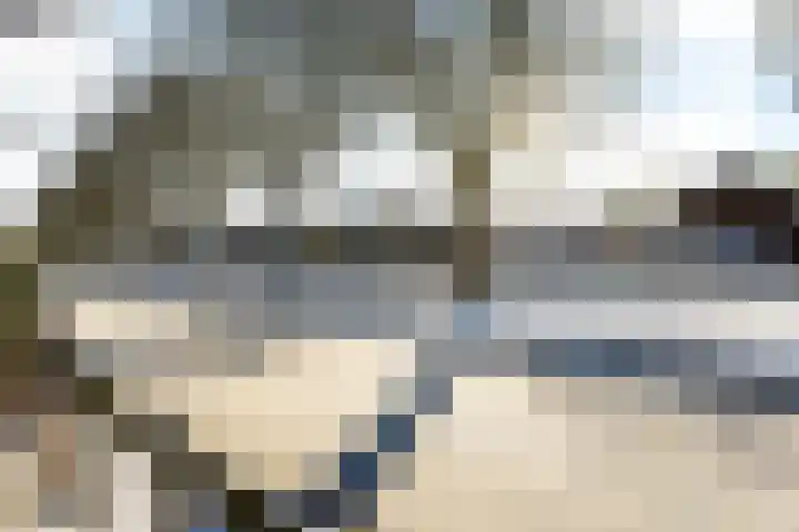Kreek 10 Sneek thumbnail 26
