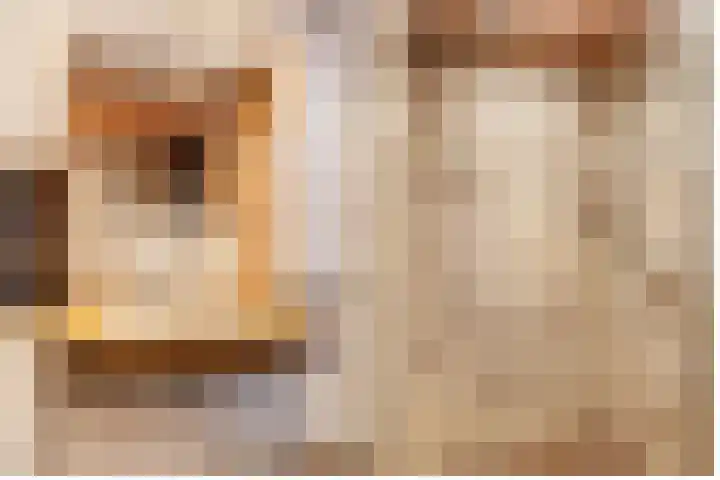 Kreek 10 Sneek thumbnail 42
