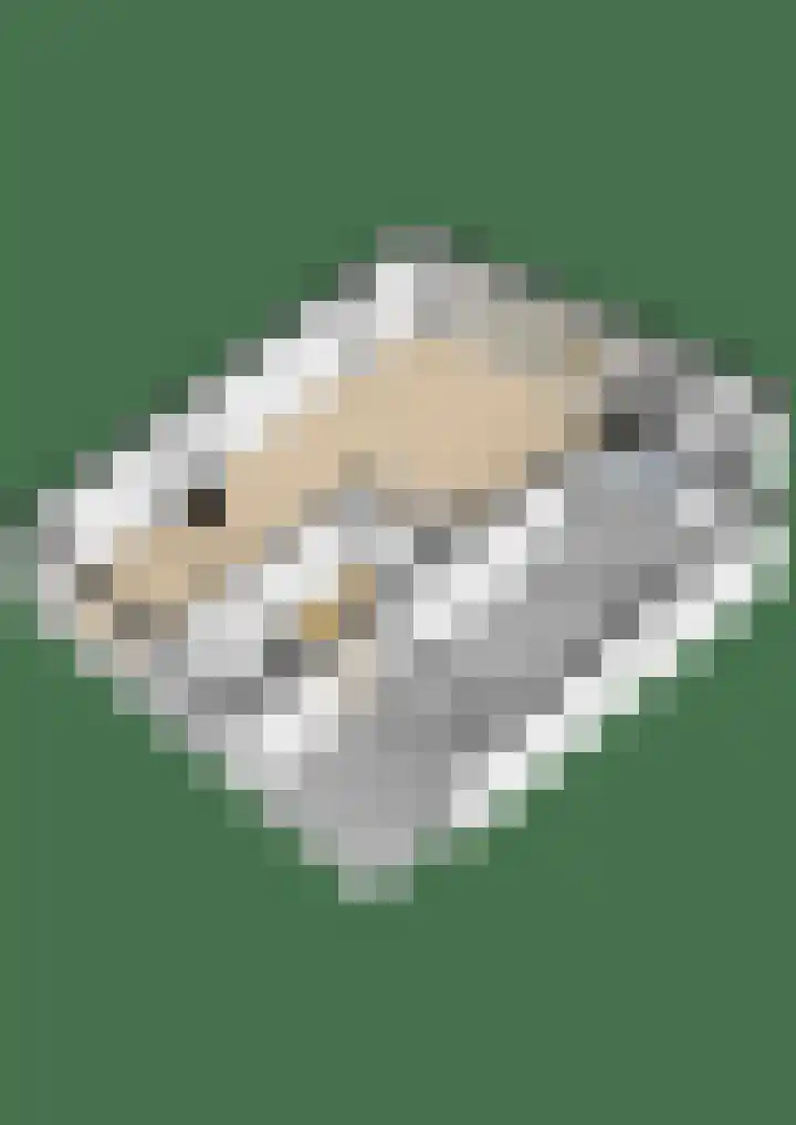 Kreek 10 Sneek thumbnail 49