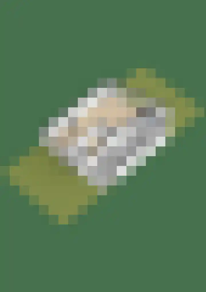 Kreek 10 Sneek thumbnail 53