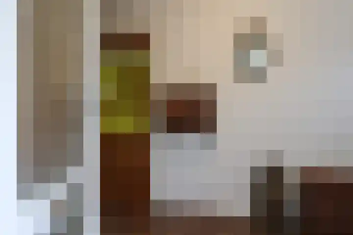 Kreek 11 Sneek thumbnail 5