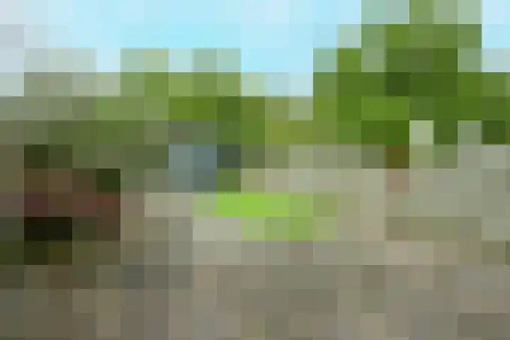 Kreek 125 Lelystad thumbnail 33
