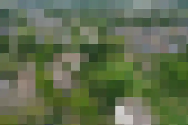 Kreek 125 Lelystad thumbnail 37