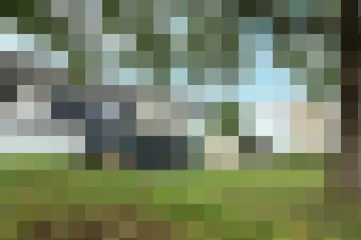 Kreek 125 Lelystad thumbnail 4