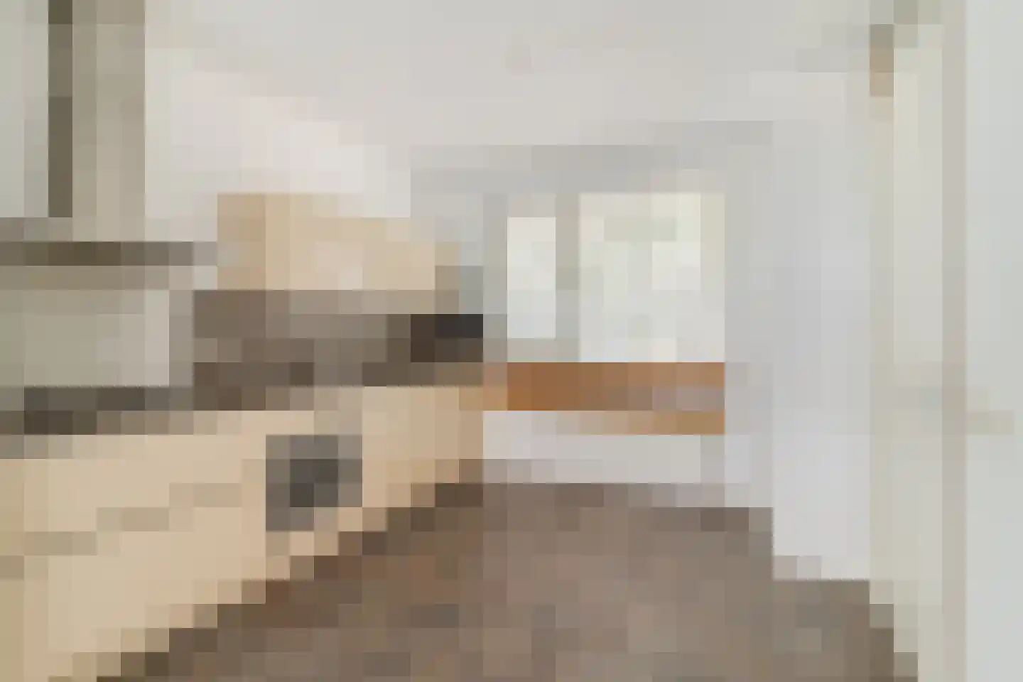 Kreek 13 Hendrik-Ido-Ambacht thumbnail 13