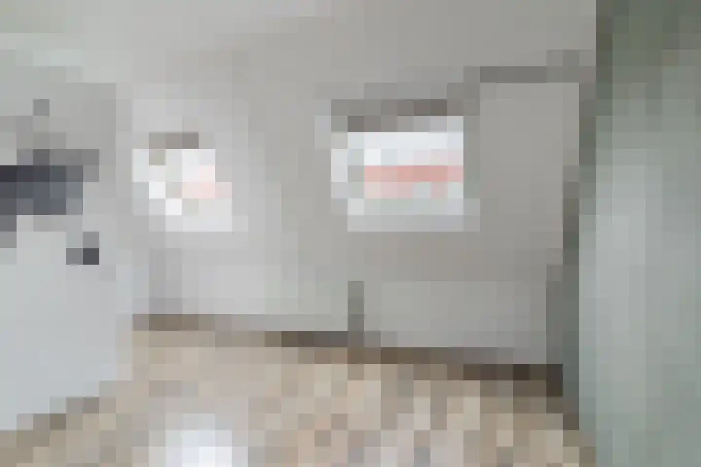 Kreek 13 Hendrik-Ido-Ambacht thumbnail 18