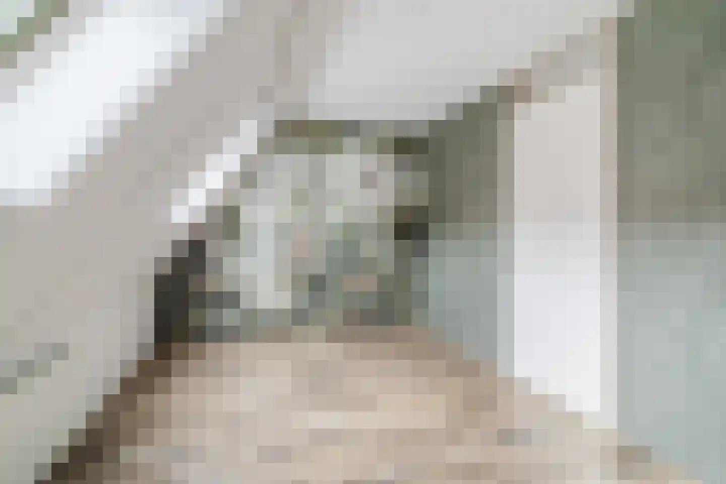 Kreek 13 Hendrik-Ido-Ambacht thumbnail 23