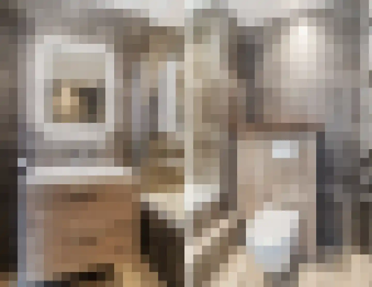 Kreek 13 Hendrik-Ido-Ambacht thumbnail 26