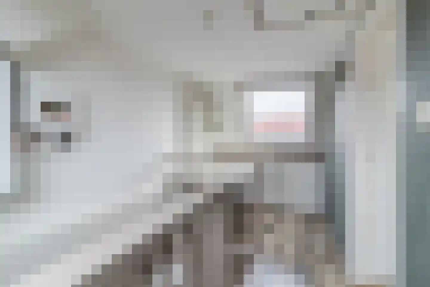 Kreek 13 Hendrik-Ido-Ambacht thumbnail 28
