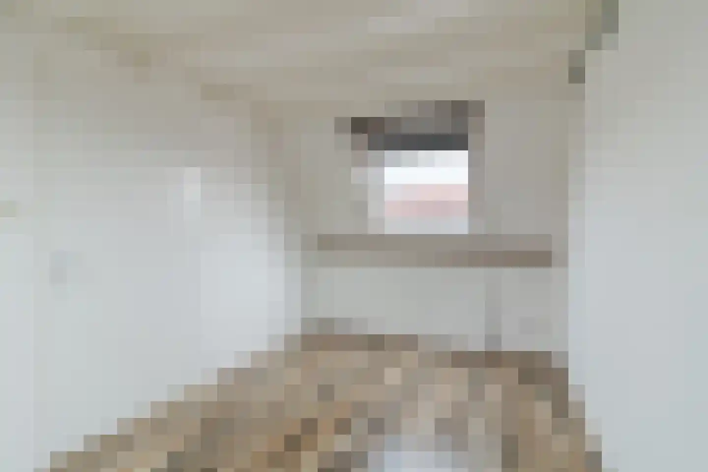 Kreek 13 Hendrik-Ido-Ambacht thumbnail 30